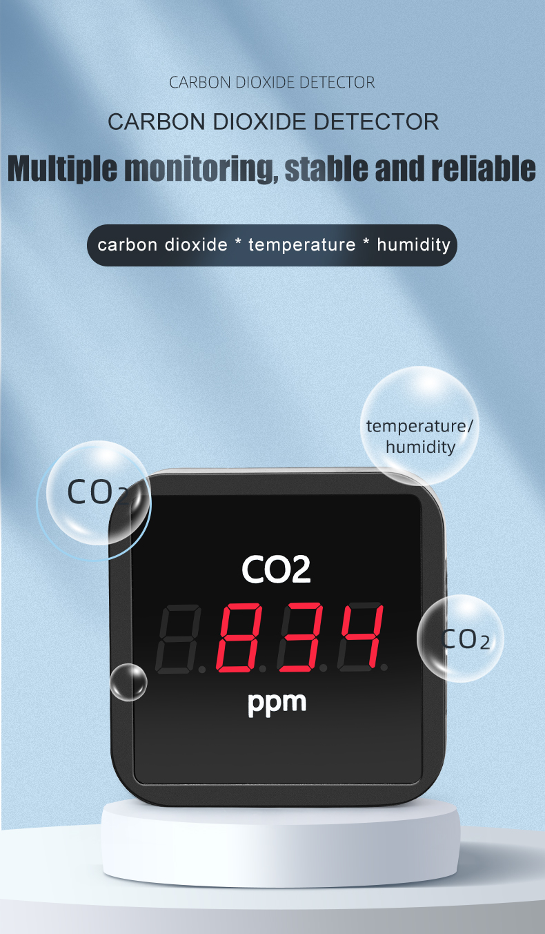 Carbon Monoxide Detector Alarm