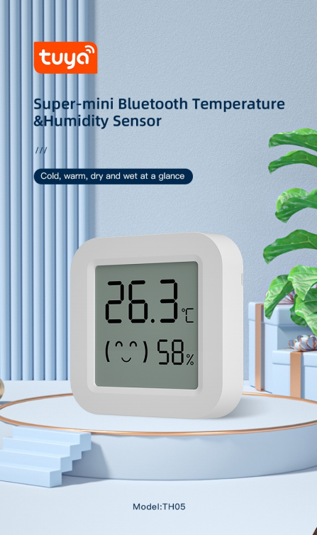 Xiaomi Thermometer