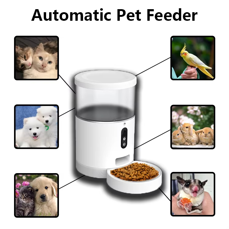 cats Dogs Feeders Pet Products