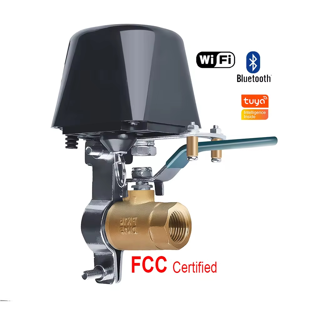 Gas Valve Compatible with Alexa Google