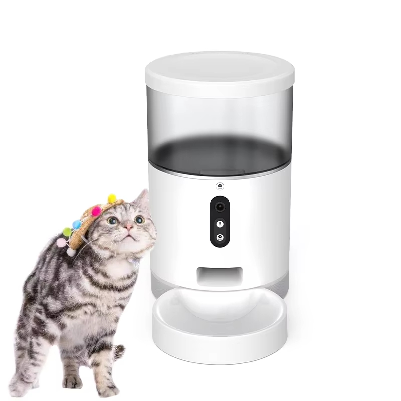 Wifi App Camera Bird Dog Cat Bowl 