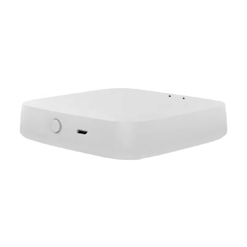 Ble Gateway Hub