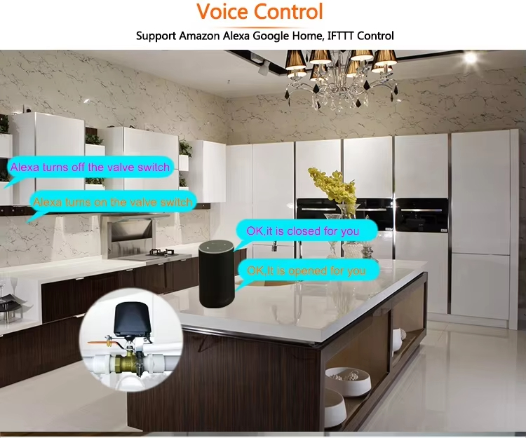 Home Shut Off Controller FCC Passed