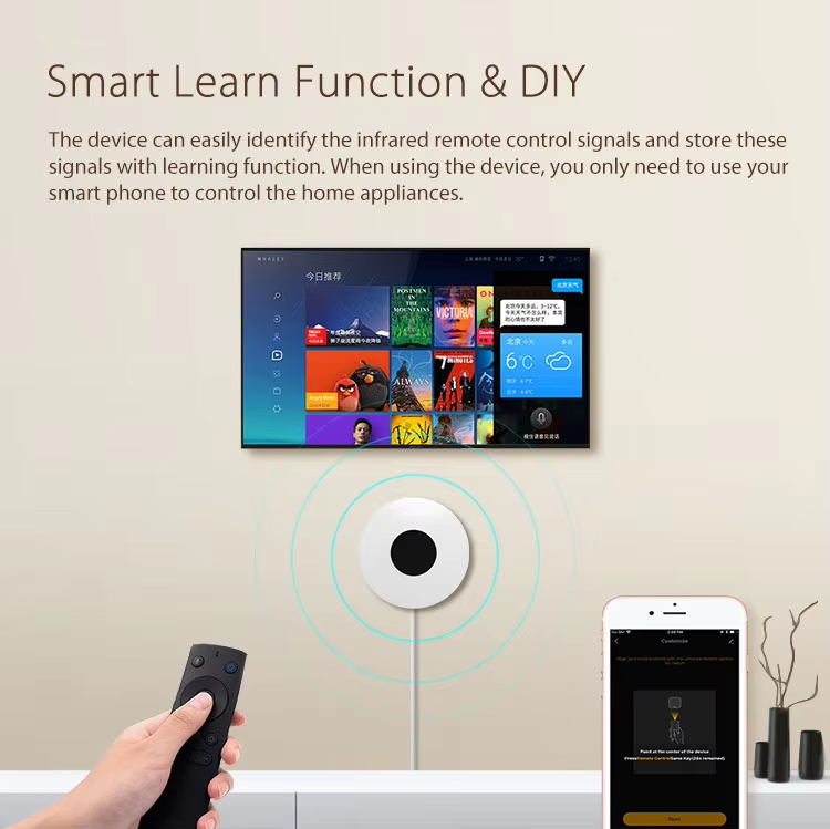 Remote Controller tuya smart DIY switch