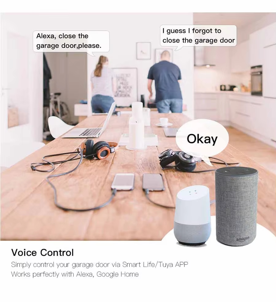 remote Controlled Intelligent Voice Control