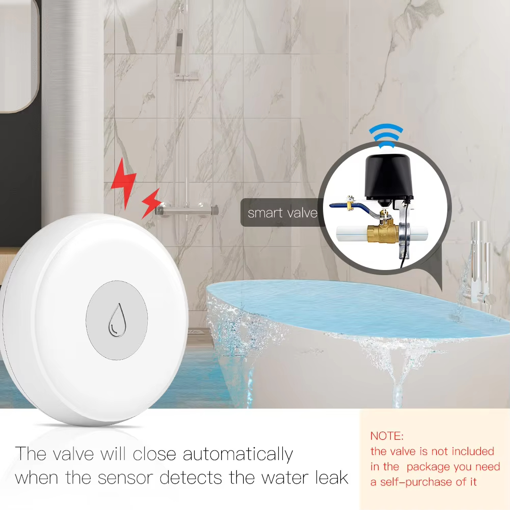Water Overflow Alarm