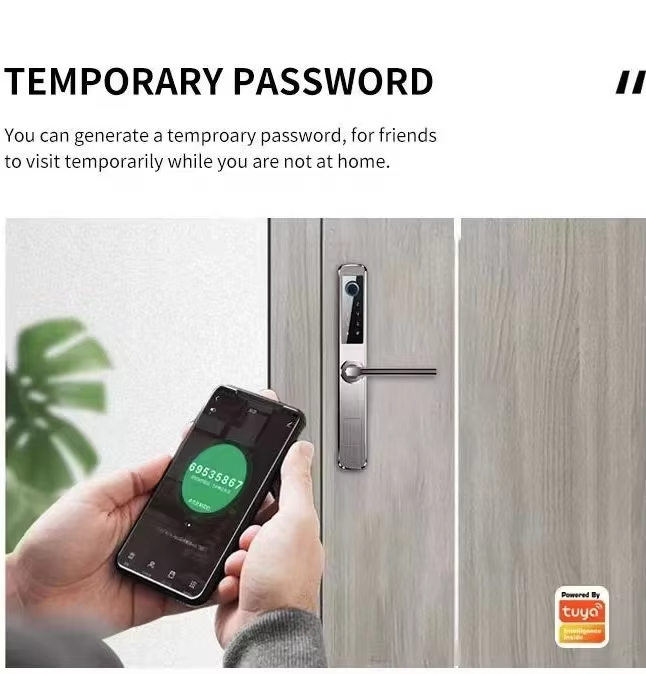 Fingerprint Sliding door Aluminum Sliding lock