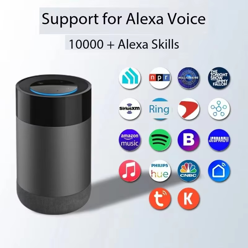 Home Whole House Intelligent Speaker 
