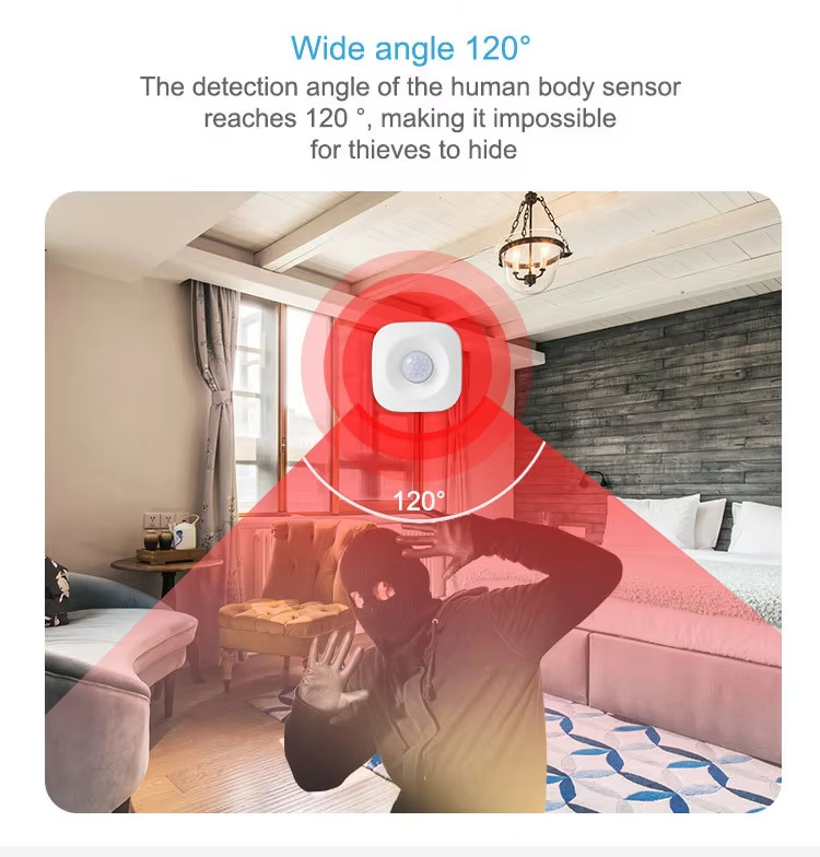Wifi Motion Sensor
