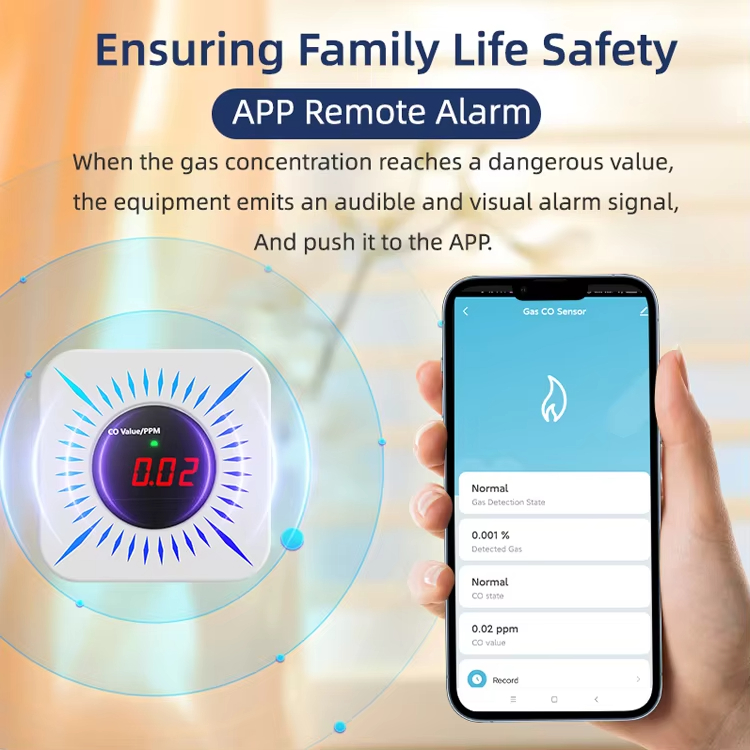 wifi Tuya Safety Home System With Sound Alarm 