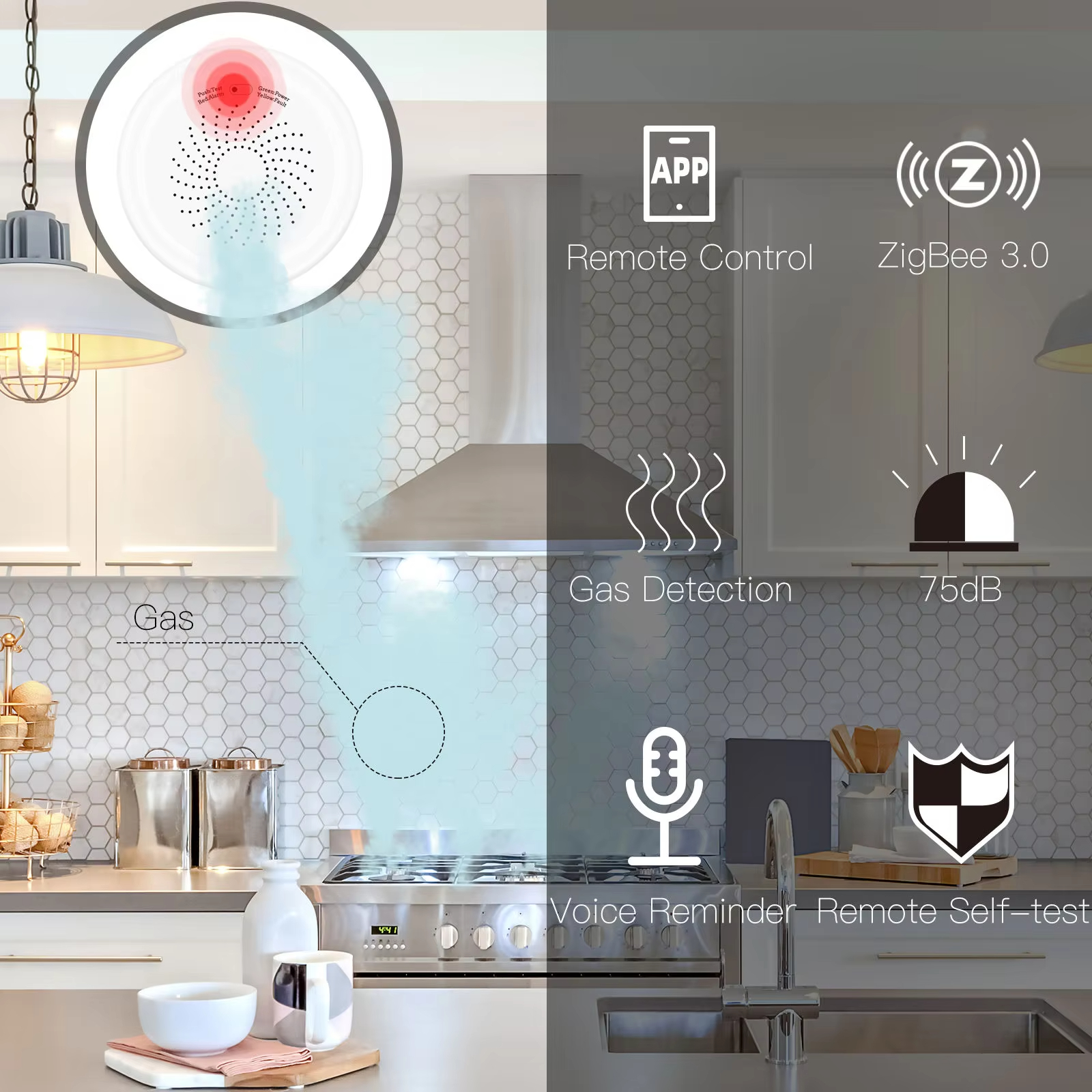 Gas Leak Detector
